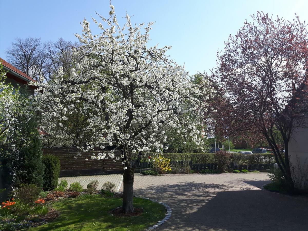 Der Kirschbaumhof Apartment Strullendorf Екстериор снимка